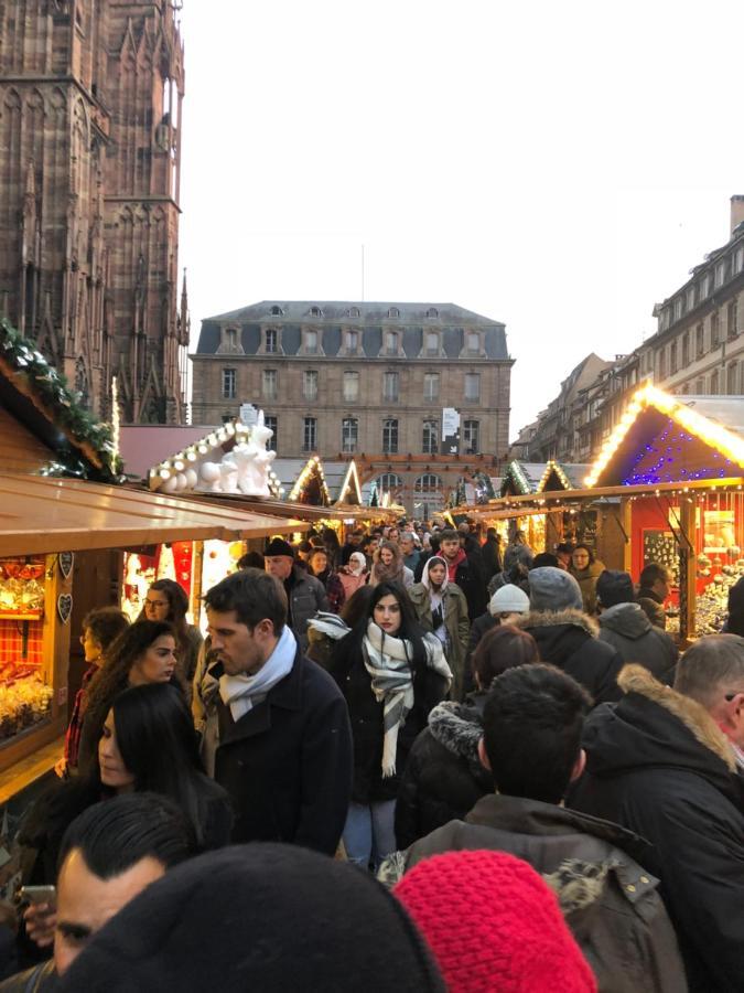 Cosy & Quiet Flat In Historical Lively Center Of Strasbourg Lejlighed Eksteriør billede